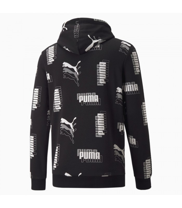 Puma meeste dressipluus 847386*01 (5)