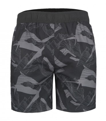 Icepeak мужские плавки Boyce 57529-5*990 (1)