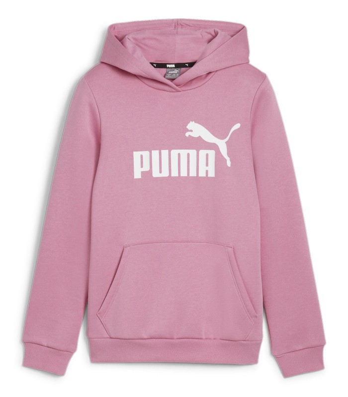 Puma Kinder-Sweatshirt Essentials Logo Youth 587031*51 (4)