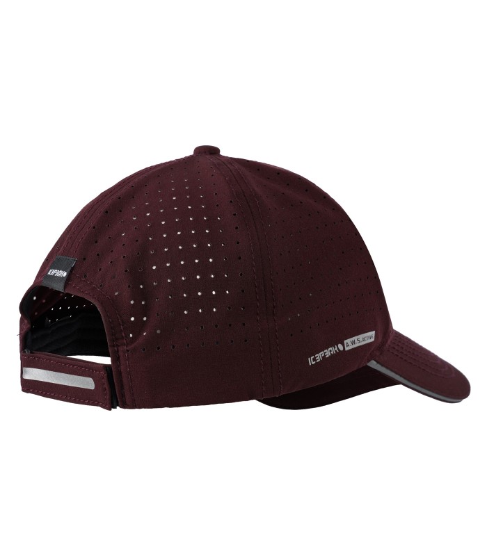 Icepeak kepuraitė Harrell 58826-3*680 (2)