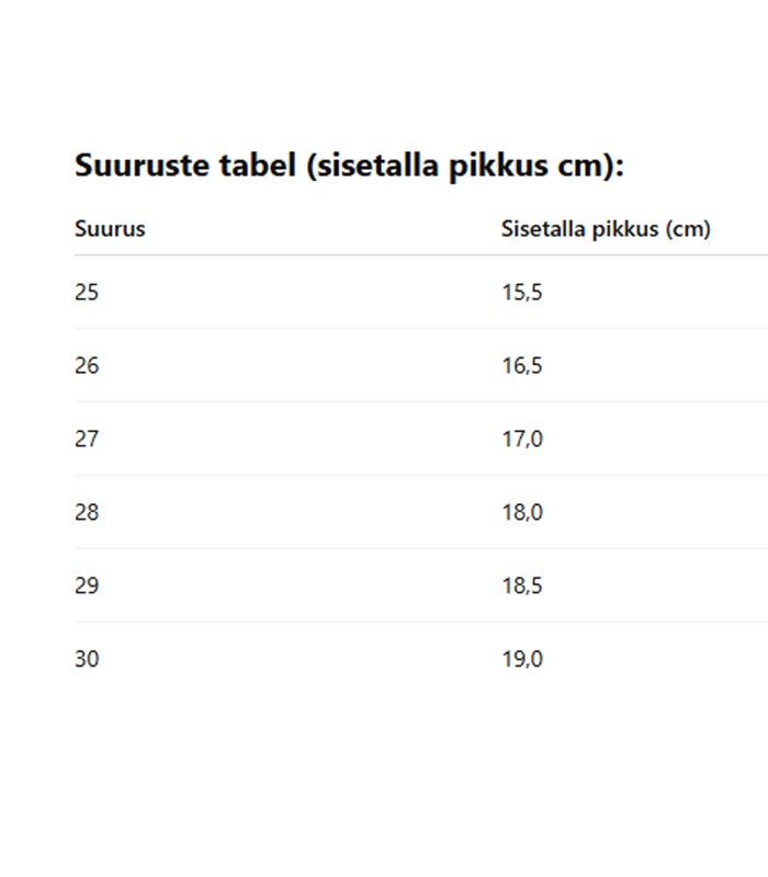 Poikien kengät 410218 01 (4)