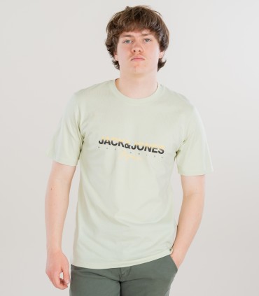 Jack & Jones miesten t-paita 12281809*01 (3)