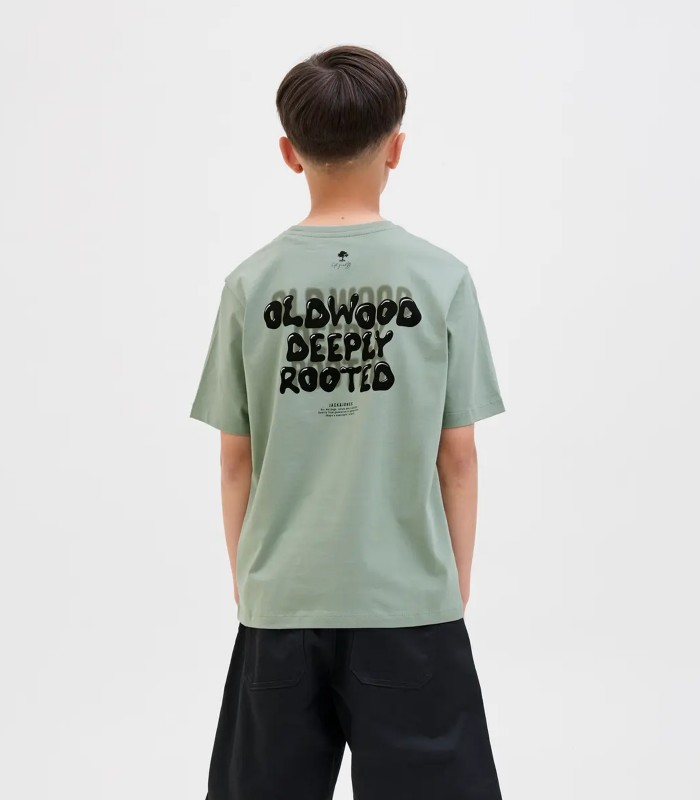 Jack & Jones Poiste T-särk 12279695*03 (5)