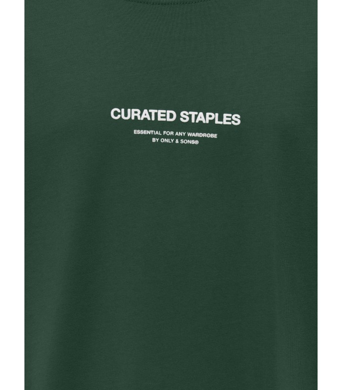 ONLY & SONS poikien T-paita 22034591*02 (1)