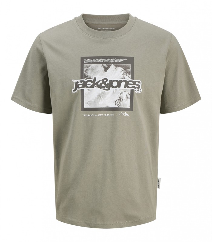 Jack & Jones meeste T-särk 12285496*03