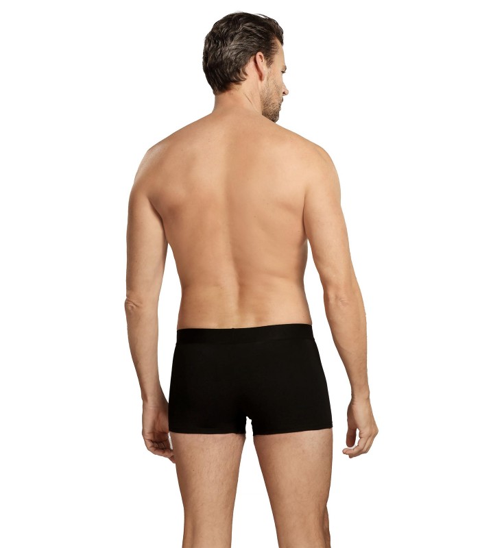 Friends Vyriškos bokserinės kelnaitės 1395*04 (4)