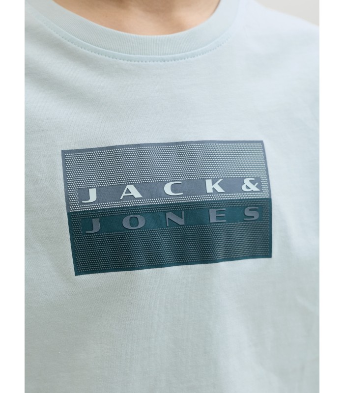 Jack & Jones poiste T-särk 12293162*02 (5)