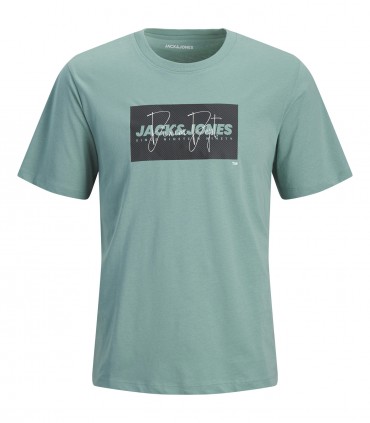 Jack & Jones футболка для мальчиков 12289944*02 (1)