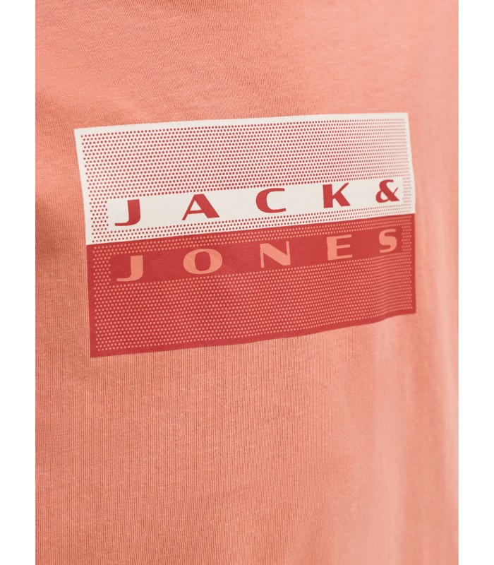 Jack & Jones poiste T-särk 12293162*05 (4)