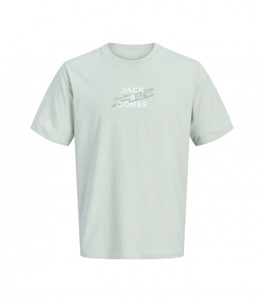 Jack & Jones Poiste T-särk 12302712*03 (2)